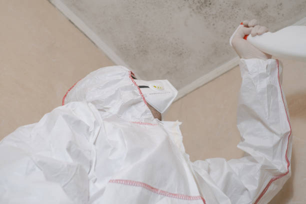 Best Mold Testing  in Cedar City, UT