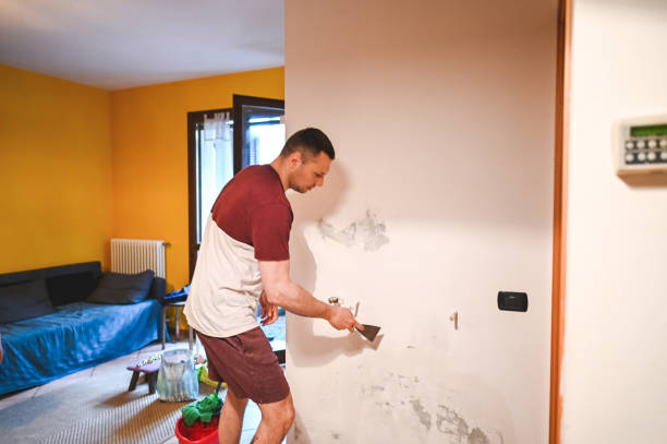 Best Office Mold Removal Services  in Cedar City, UT